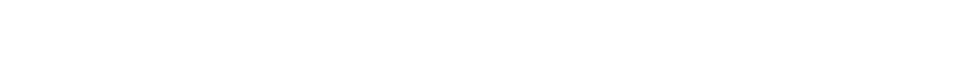 divider_flourish2
